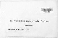 Image Associated With the Occurence